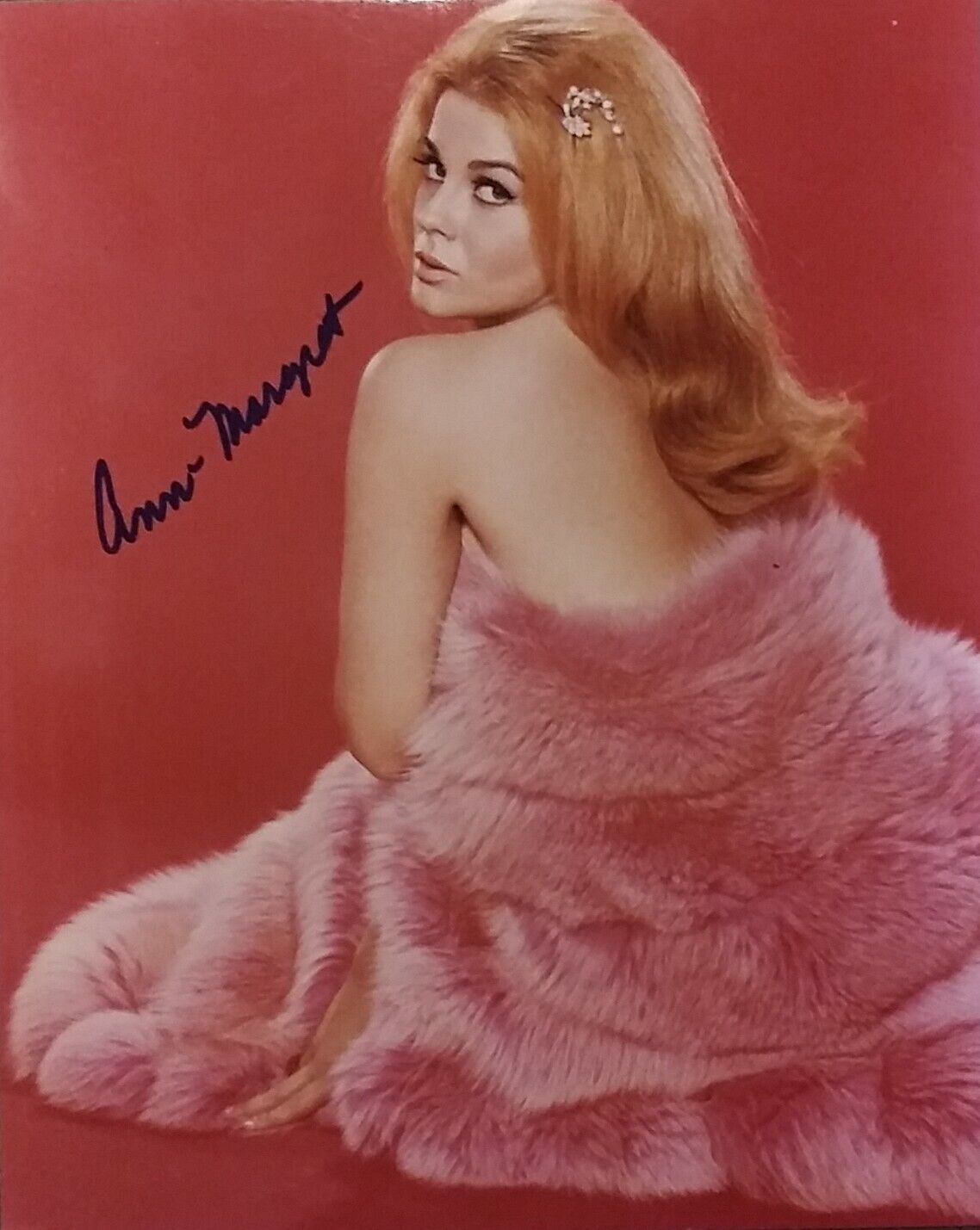 Ann-Margret signed 8x10