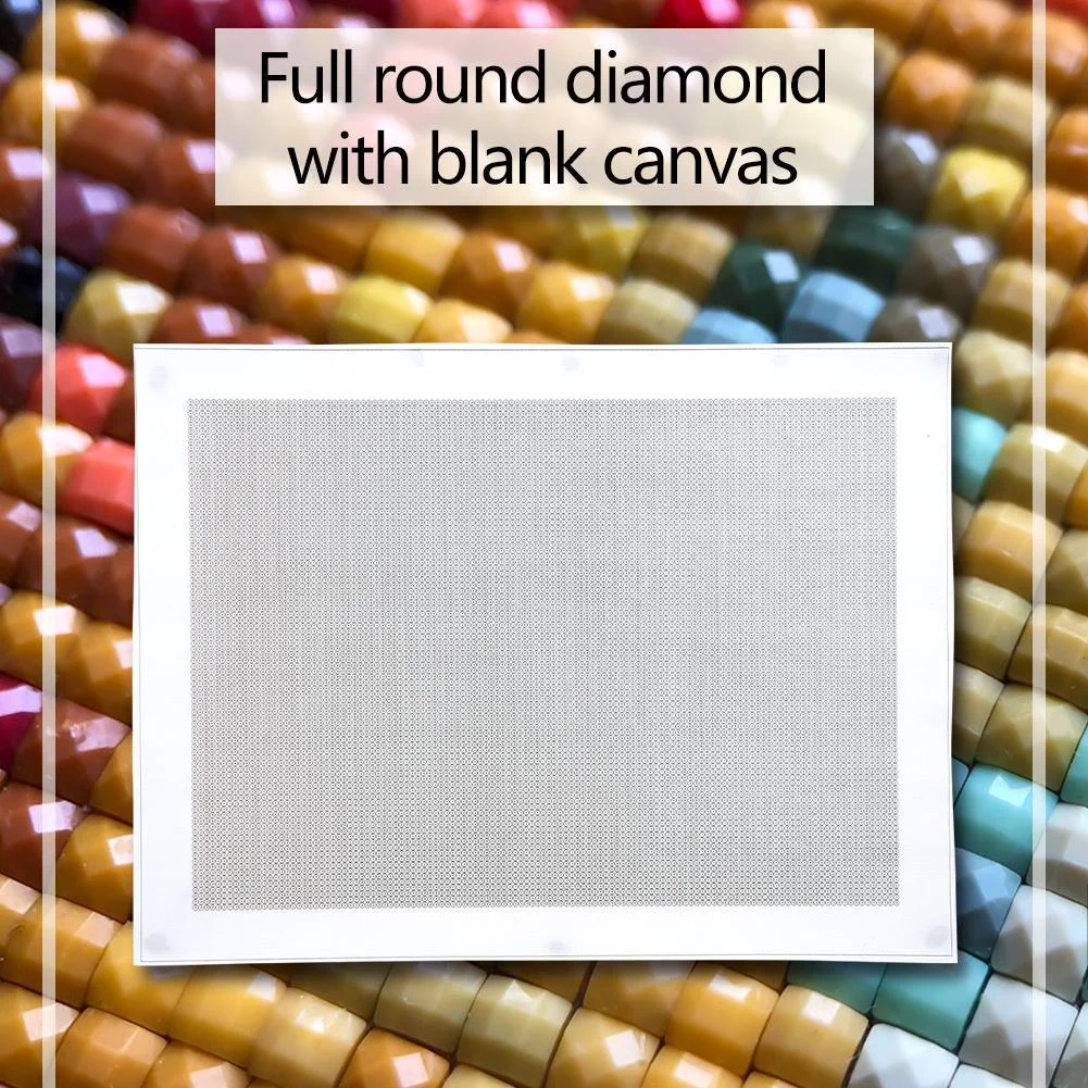 Blank Embroidery Full Round Drill Canvas DIY Diamond Painting (Canvas|30*40cm)