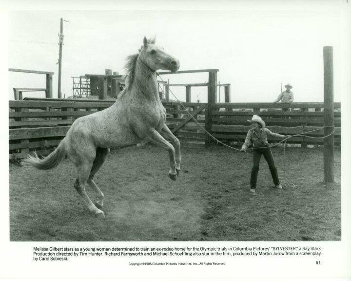 Melissa Gilbert Sylvester 1985 Original 8x10 Press Photo Poster painting