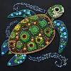 Framed Turtle - DIY Button Art Painting Kit for Creativity DIY Pearl Dot Crafts for Gift Home Wall Decor 30*30CM