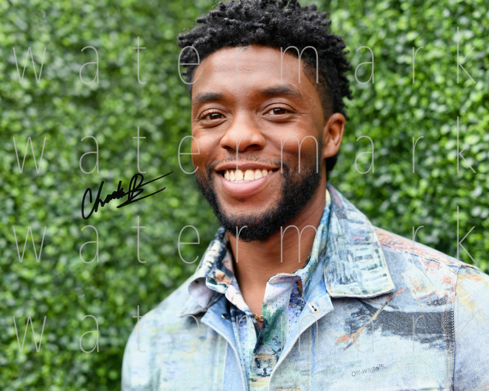 Chadwick Boseman Black Panther signed 8X10 print Photo Poster painting picture poster autograph