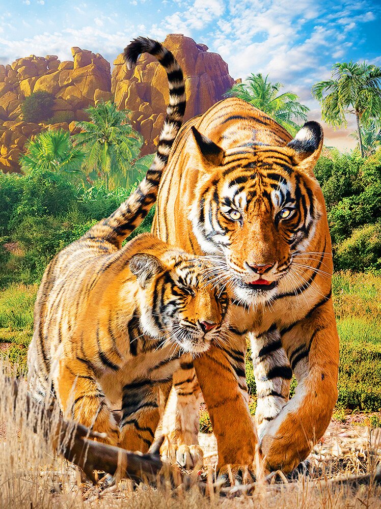 DIY Painting By Numbers Tiger 40*50cm