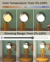 Moon Punishment Standing Desk Lamp Birthday Gift Bedroom Bedside Atmosphere Lamp Table Set Solid Wood Ornaments Charging
