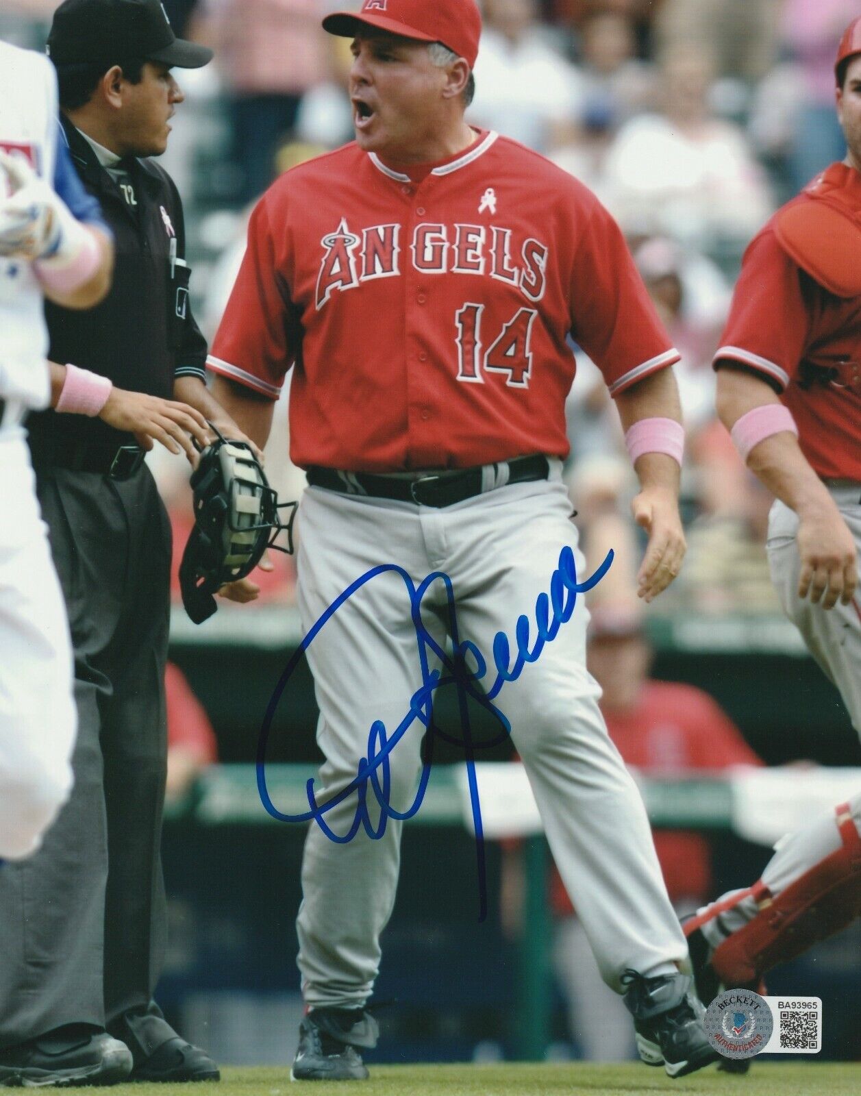 MIKE SCIOSCIA Signed Los Angeles ANGELS 8x10 Photo Poster painting w/ Beckett COA (BAS)