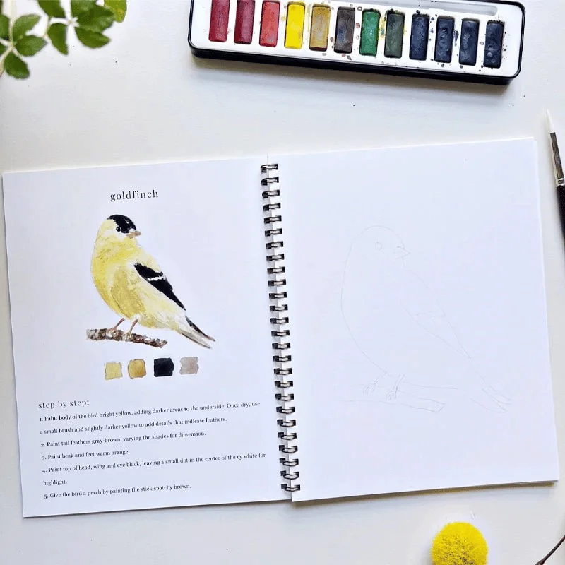 Emily Lex Watercolor Workbook