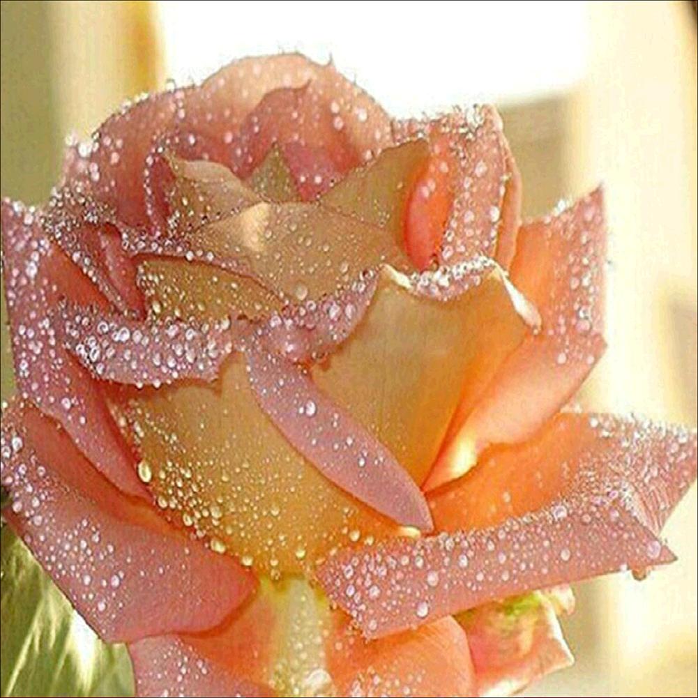 

30*30CM - Special Shaped Diamond Painting - Flowers with Dewdrops, 501 Original