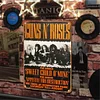 Guns N' Roses - Vintage Metal Signs - 20*30cm/30*40cm - Music