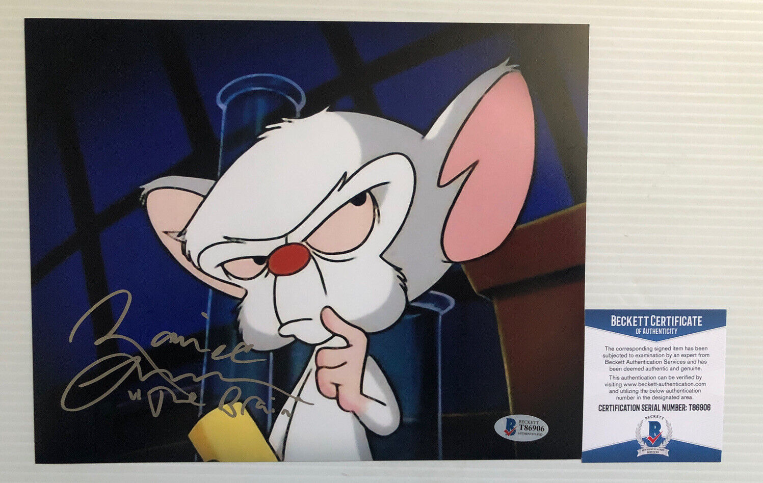 Maurice Lamarche Signed 8x10 Photo Poster painting Pinky and Brain BECKETT COA