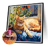 Chat se prélassant dans le soleil-plein diamant rond peinture-30 * 30cm