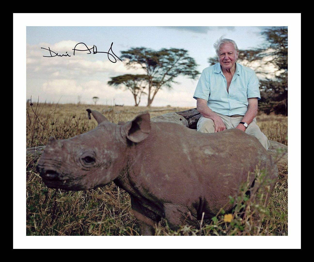 Sir David Attenborough Autographed Signed & Framed Photo Poster painting