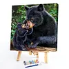 uk.everydayedeals (Limited Stock)Paint By Number - Oil Painting -  Bear (40*40Cm)