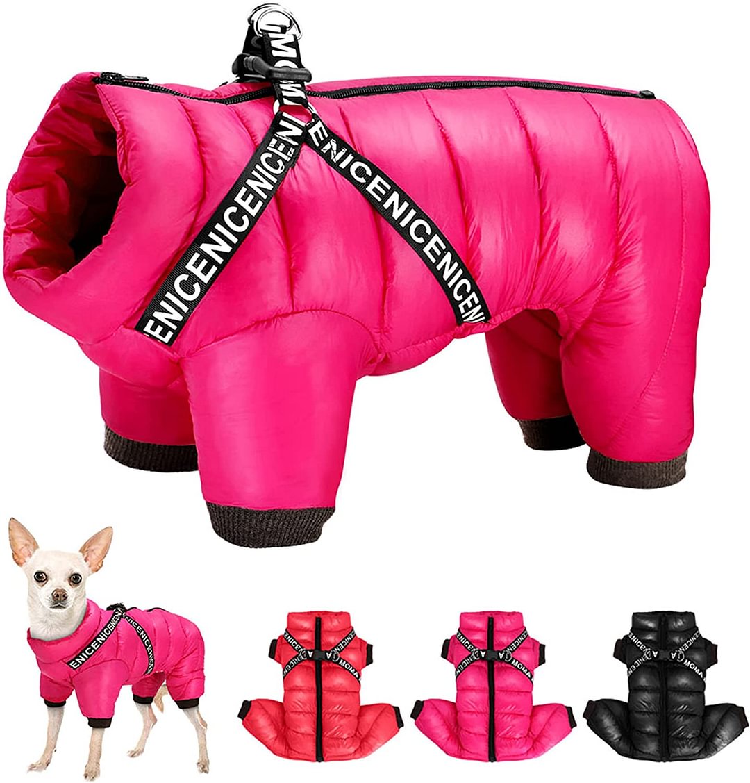 Winter Dog Coat With Harness