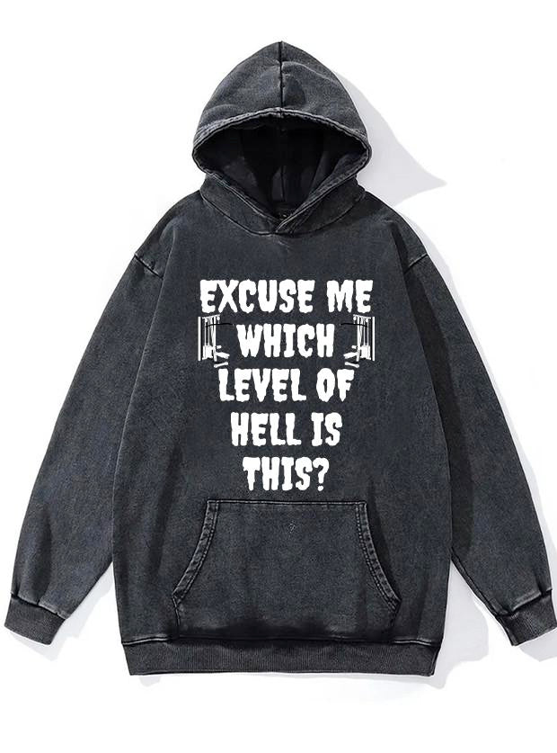 which level of hell is this Washed Gym Hoodie