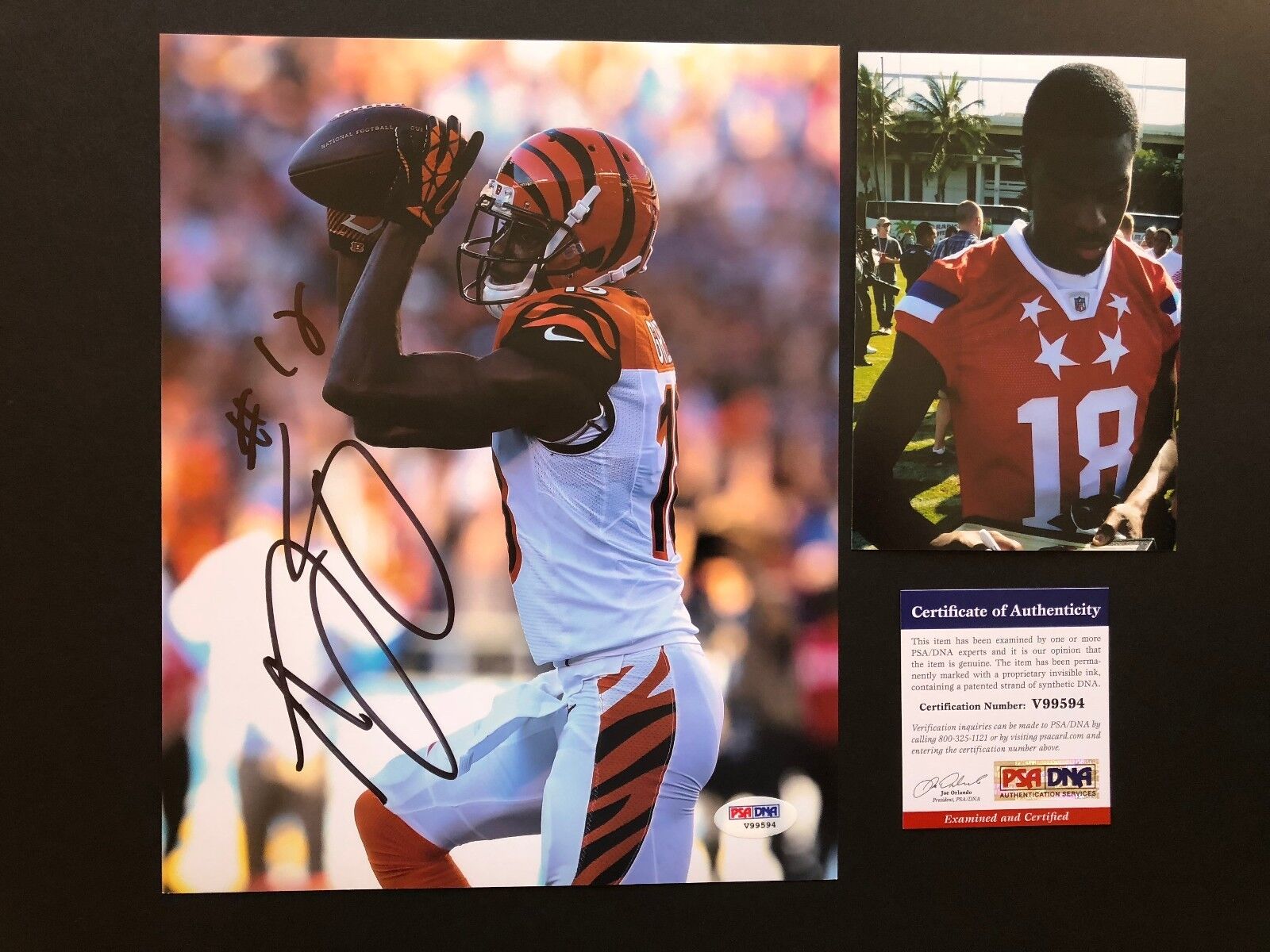 A.J. AJ Green Hot! signed autographed Bengals 8x10 Photo Poster painting PSA/DNA coa