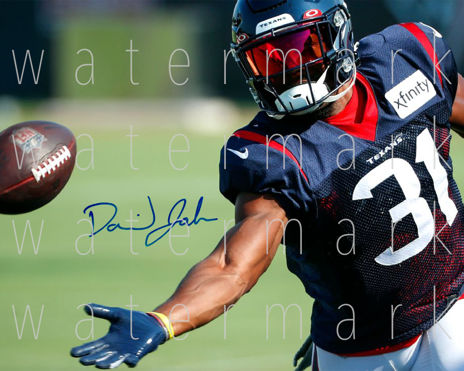 David Johnson Houston Texans signed 8X10 print Photo Poster painting poster picture autograph RP