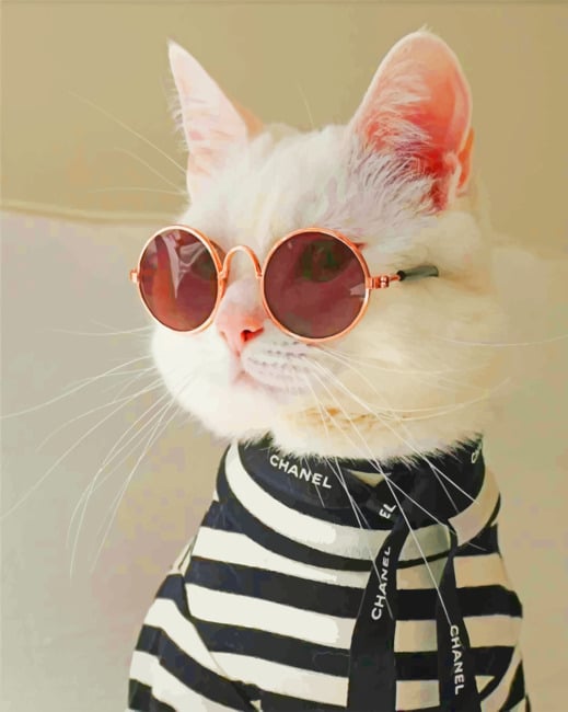 

Chanel Cat – Paint By Numbers - 40*50CM, 501 Original