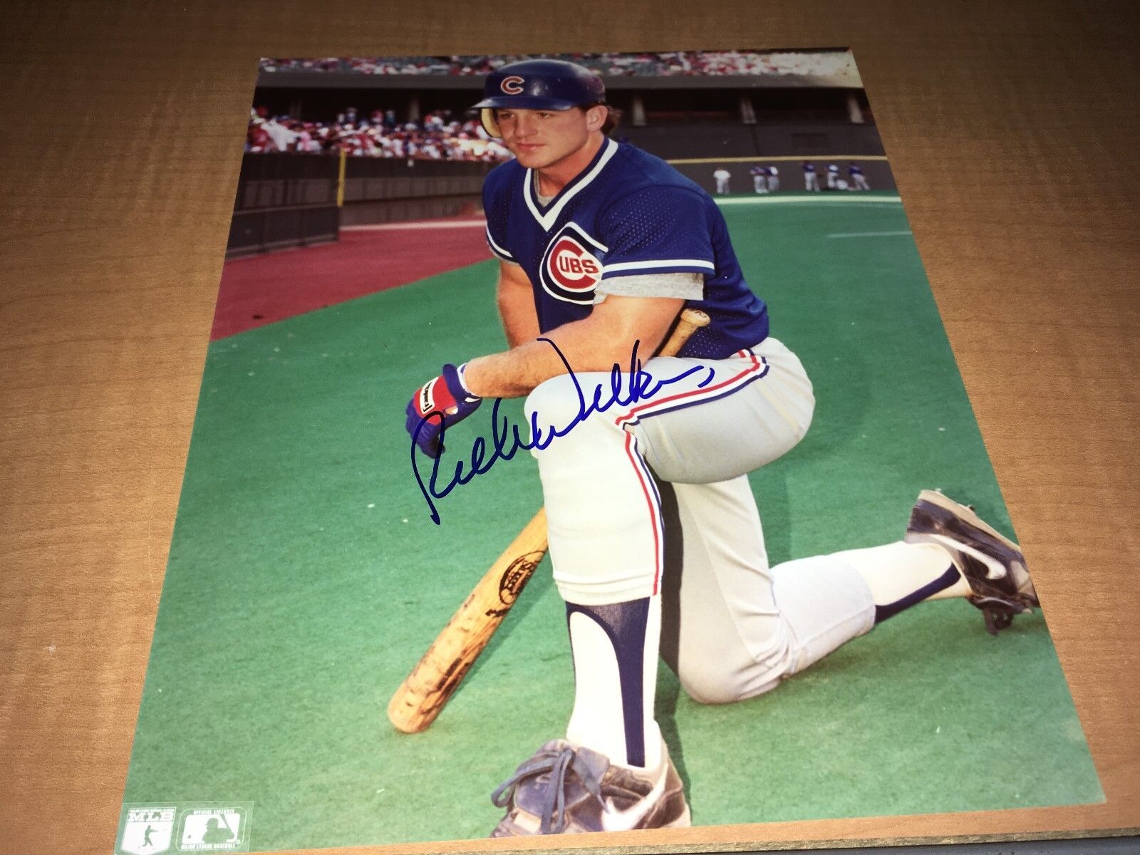 Rich Wilkins Chicago Cubs Signed 8 x 10