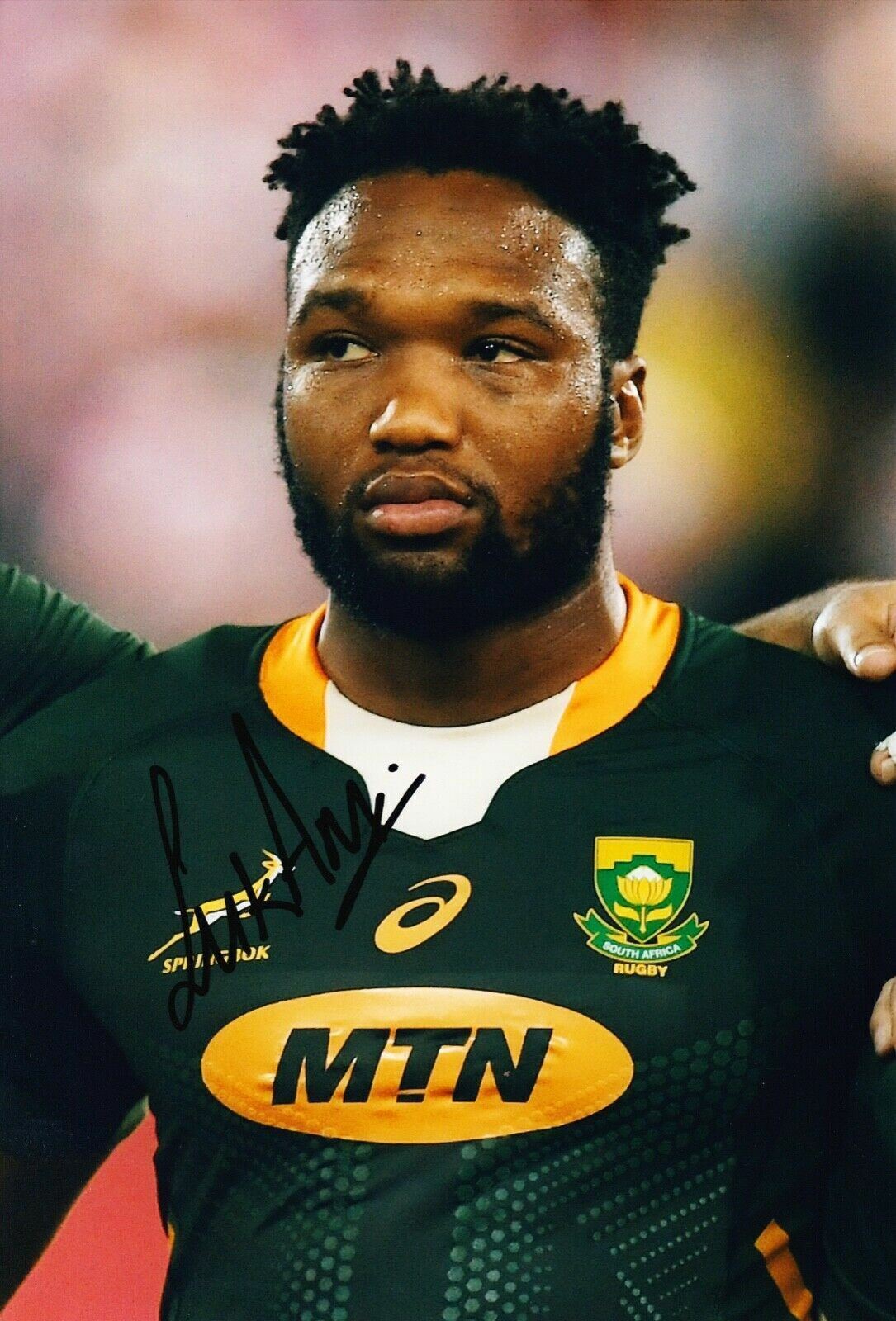 Lukhanyo Am Signed 12X8 Photo Poster painting 2019 RWC SPRINGBOKS South Africa AFTAL COA (B)