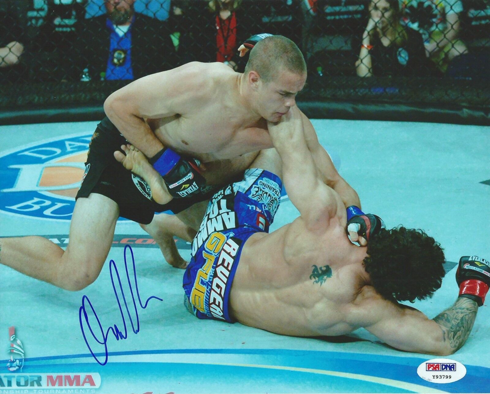 Derek Anderson Signed 8x10 Photo Poster painting PSA/DNA COA Picture Autograph Bellator MMA 98