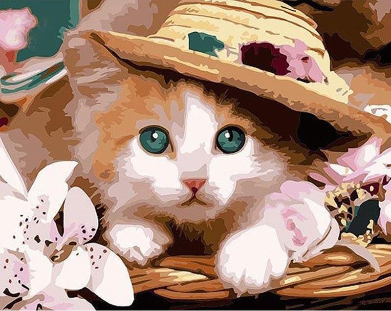 

Cat in a Hat – Paint By Numbers - 40*50CM, 501 Original