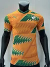 2023 Player Version Ivory Coast Special Edition Soccer Jersey