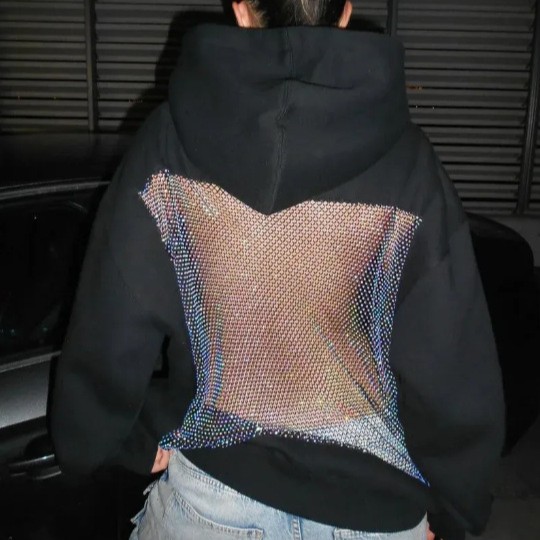 Sexy Sheer Backless Hoodie