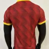 24/25 Player Roma Soccer Jersey Third Away