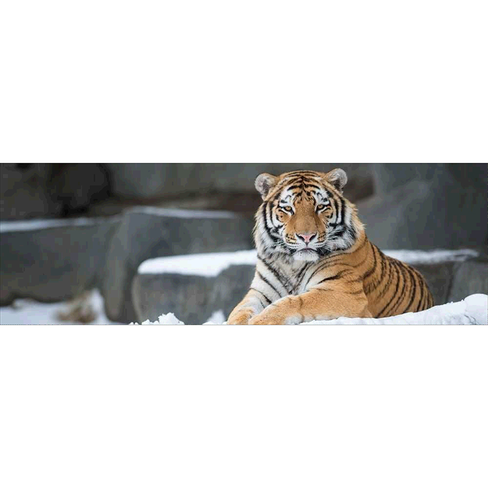 

80*30CM - Round Drill Diamond Painting - Tiger, 501 Original