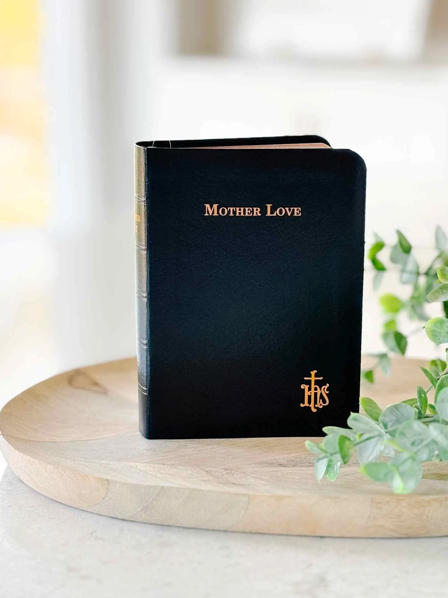 Mother Love Book - Revised