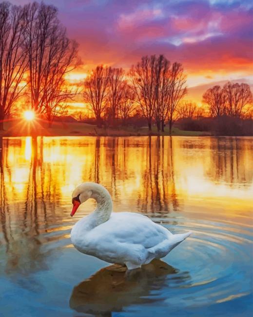 

Sunset Swan In Lake – Paint By Numbers - 40*50CM, 501 Original