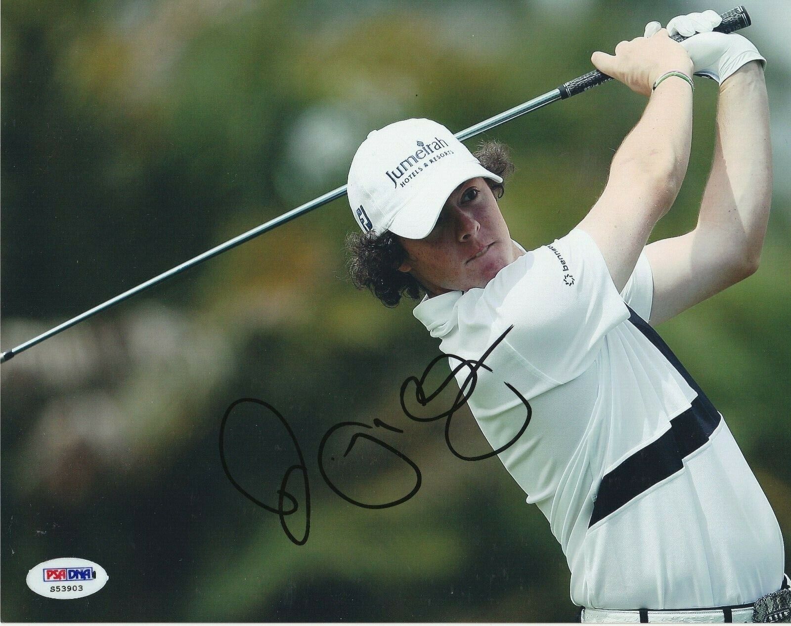 RORY McILROY Signed 8x10 Photo Poster painting with PSA COA