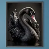 Black Swan-Full Square Diamond Painting(40x50cm)