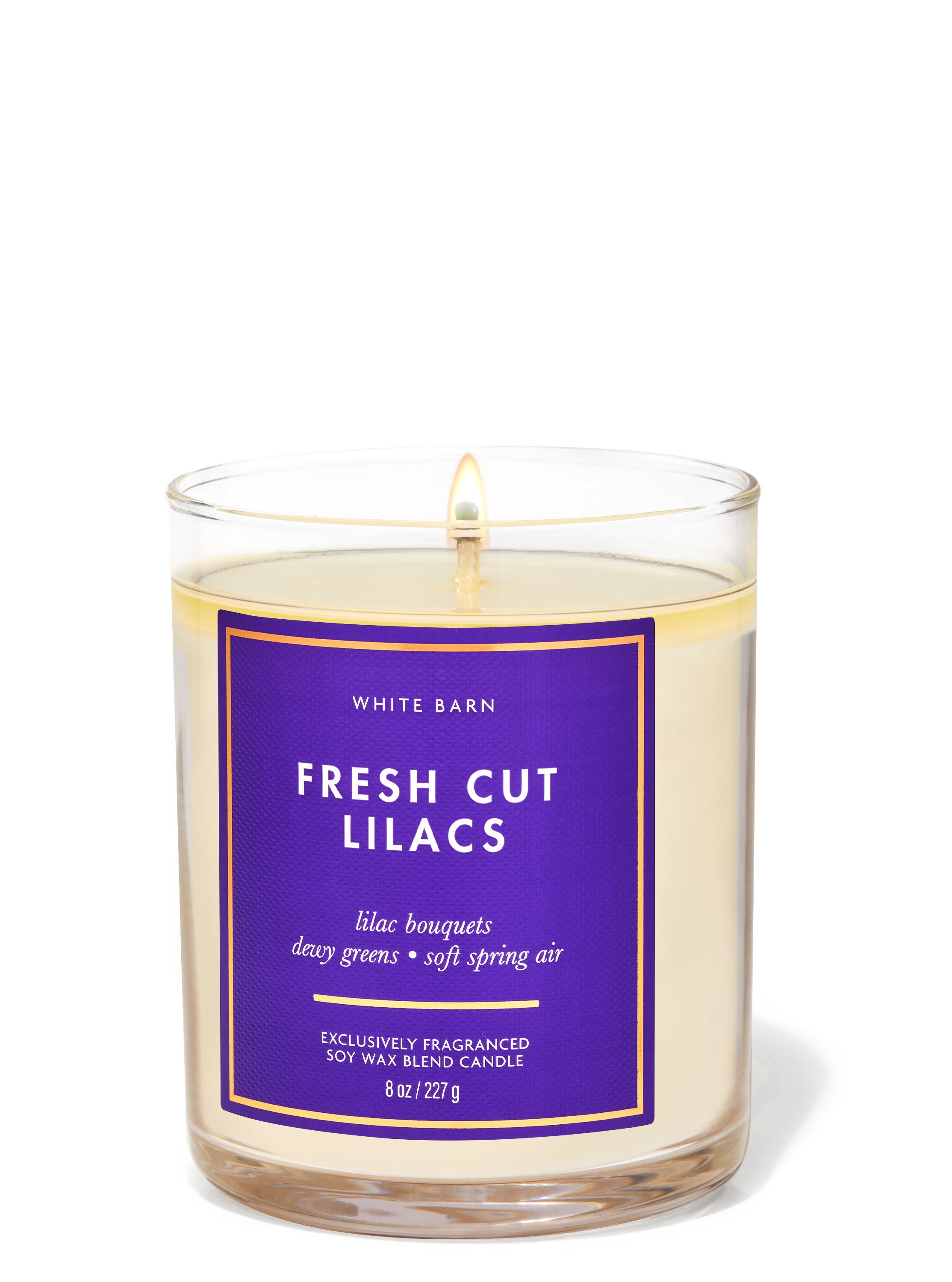 Fresh Cut Lilacs