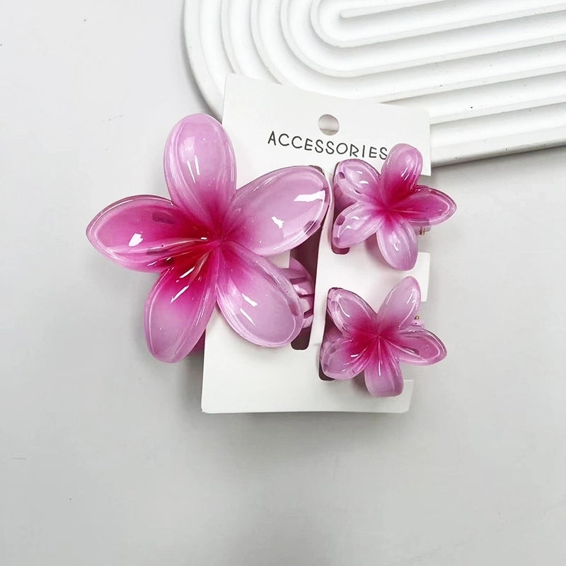 Vacation Modern Style Women’s Flower Resin Hair Claws