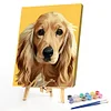 Painting By Numbers - DIY Dog(40*50cm)
