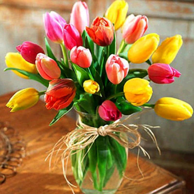 

Colourful Tulips – Paint By Numbers - 40*50CM, 501 Original