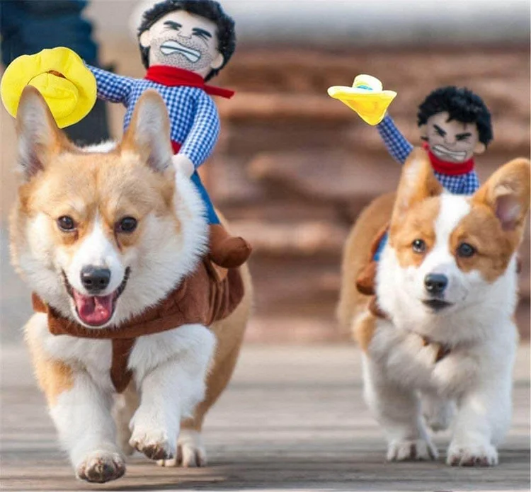 Funny Dog Costumes - Cowboy Rider Dog Costume