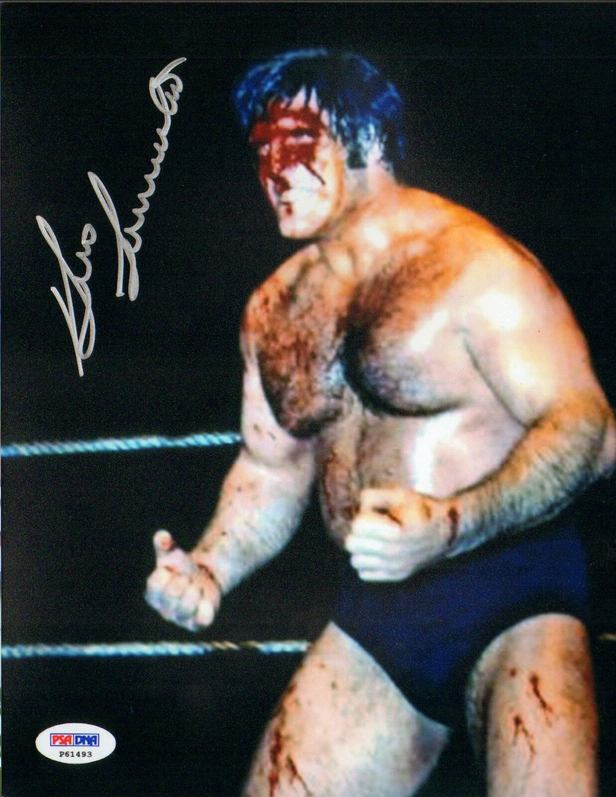 Bruno Sammartino Signed Auto'd WWE WWF 8x10 Photo Poster painting PSA/DNA COA Pro Wrestling WWWF