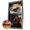 Diamond Painting-DIY Full Round Drill Eagle(40*70CM)