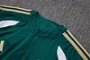 Joyfball 2026/2027 Kids Size Italy Half-Pull Training Suit green Soccer Shirt