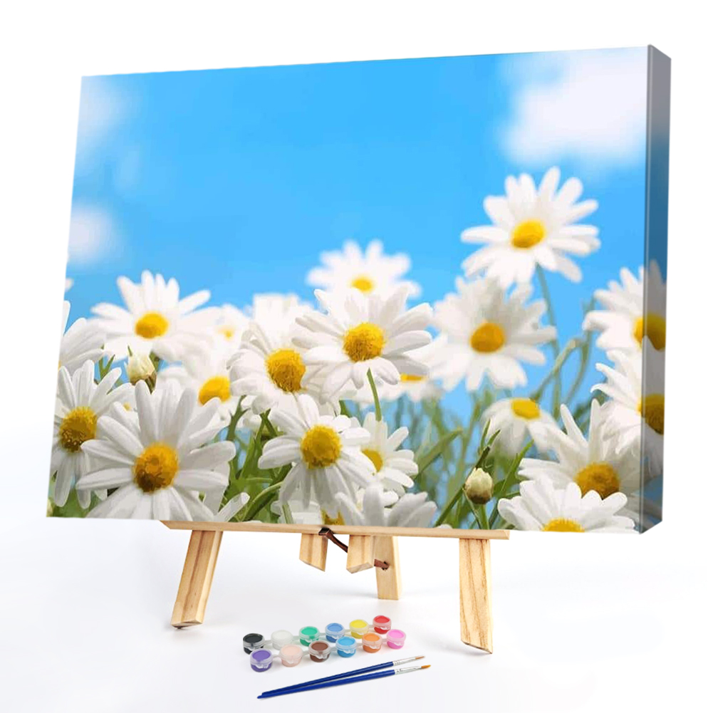 

50*40CM - Paint By Numbers - Sky Chrysanthemum, 501 Original