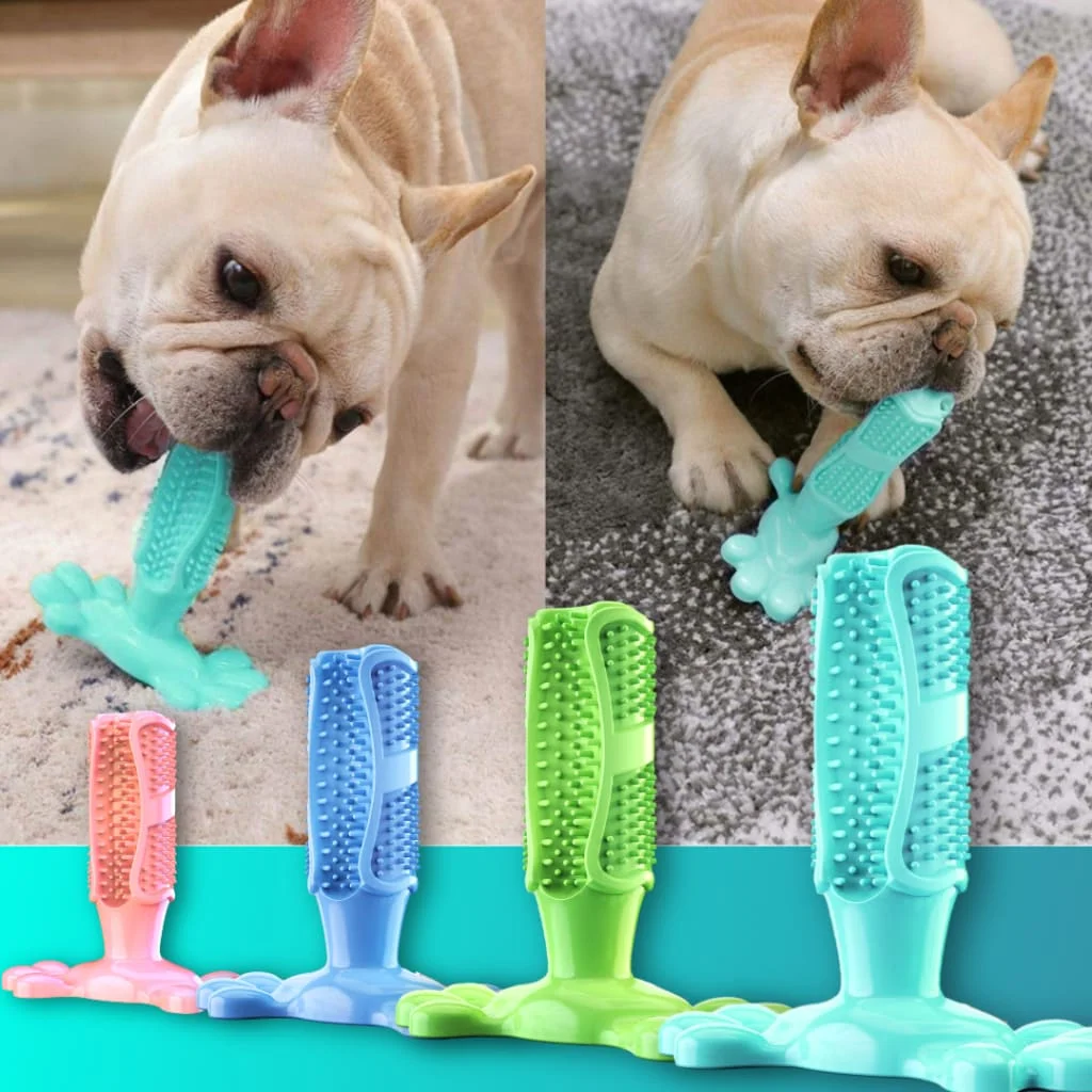 Chewy™ - The Indestructible and Dog-Friendly Toothbrush Toy