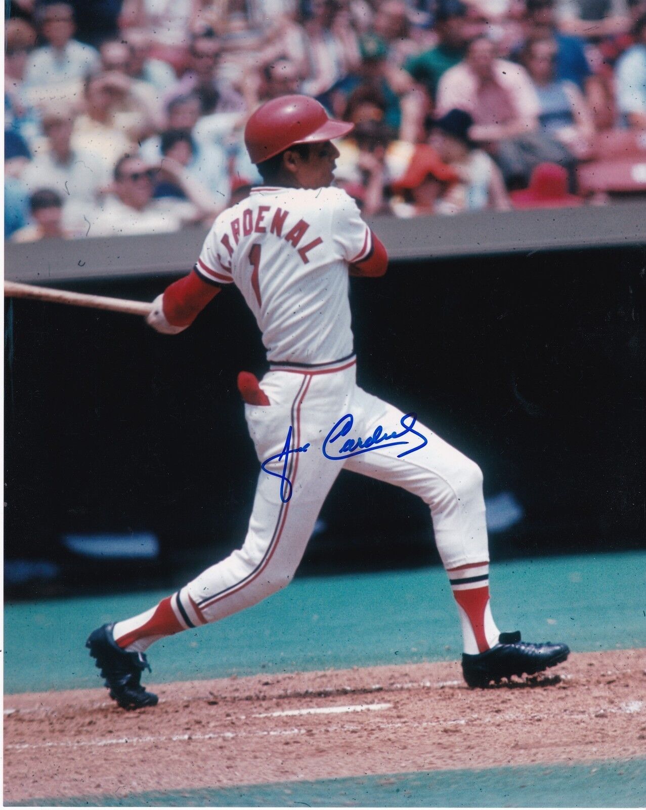 JOSE CARDENAL ST. LOUIS CARDINALS ACTION SIGNED 8x10