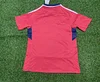2023 Costa Rica National Home Football Shirt 1:1 Thai Quality