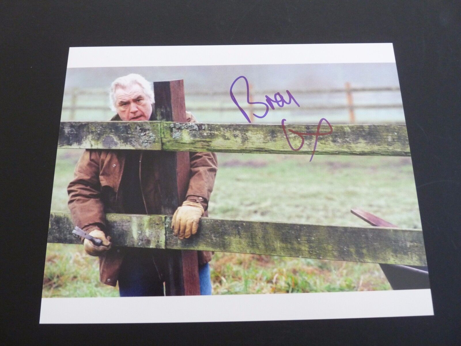 Brian Cox Troy Actor Signed Autographed 8x10 Photo Poster painting PSA or Beckett Guaranteed