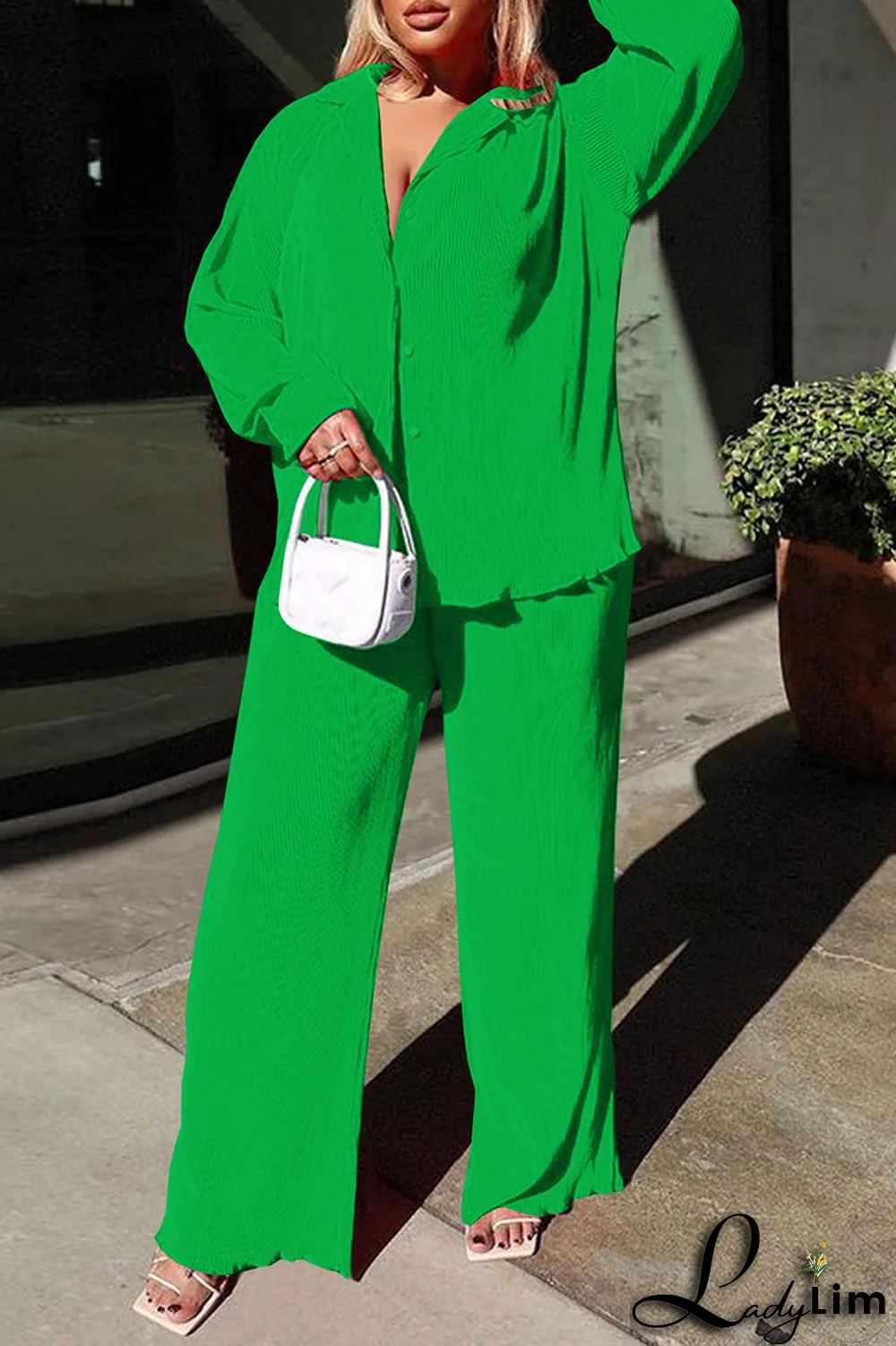 Blue Casual Solid Patchwork Turndown Collar Long Sleeve Two Pieces