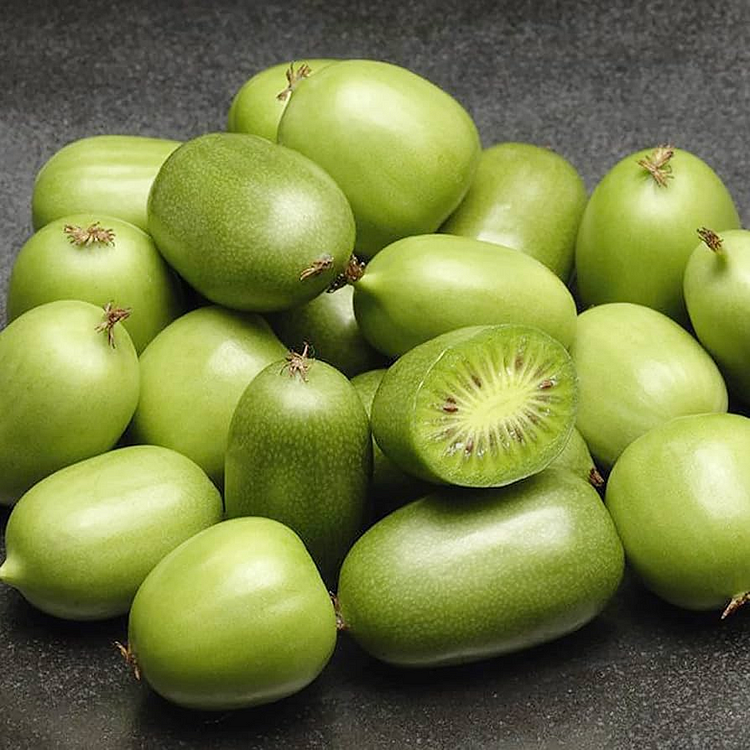 Rare Mini Kiwi Berry Seeds - Grow Exotic Superfruits at Home!