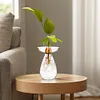Avocado Seed Starter Vase Transparent Glass Avocado Tree Flower Vase for Balcony