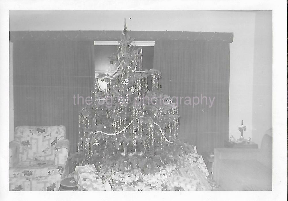 CHRISTMAS TREE Vintage FOUND Photo Poster paintingGRAPH bwOriginal Snapshot 04 4