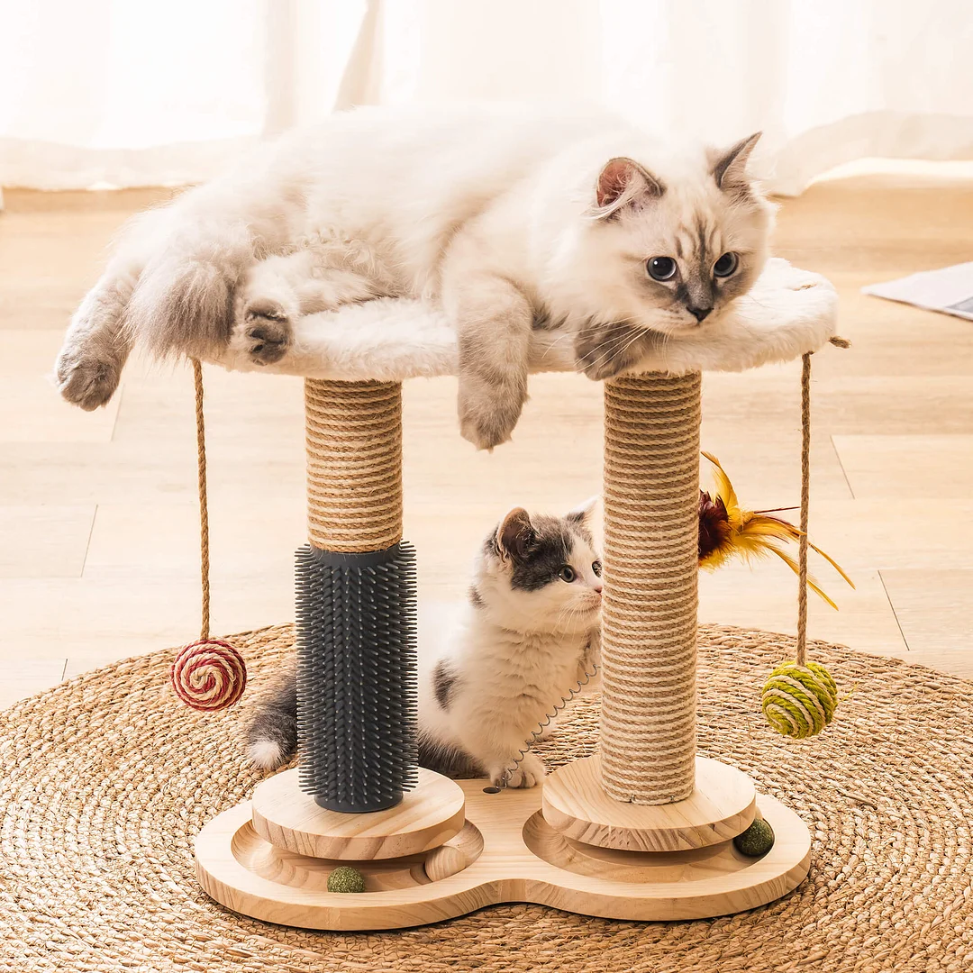 Self-Grooming Cat Toys  Mewoofun